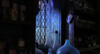 The Necromancer’s Guide to Not Dying While Saving the World (And Falling in Love) — Part Fourteen